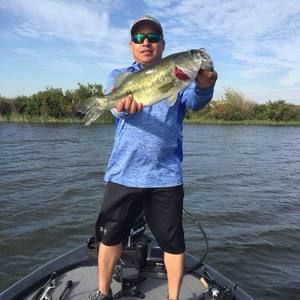 Meet your Posher, Larry